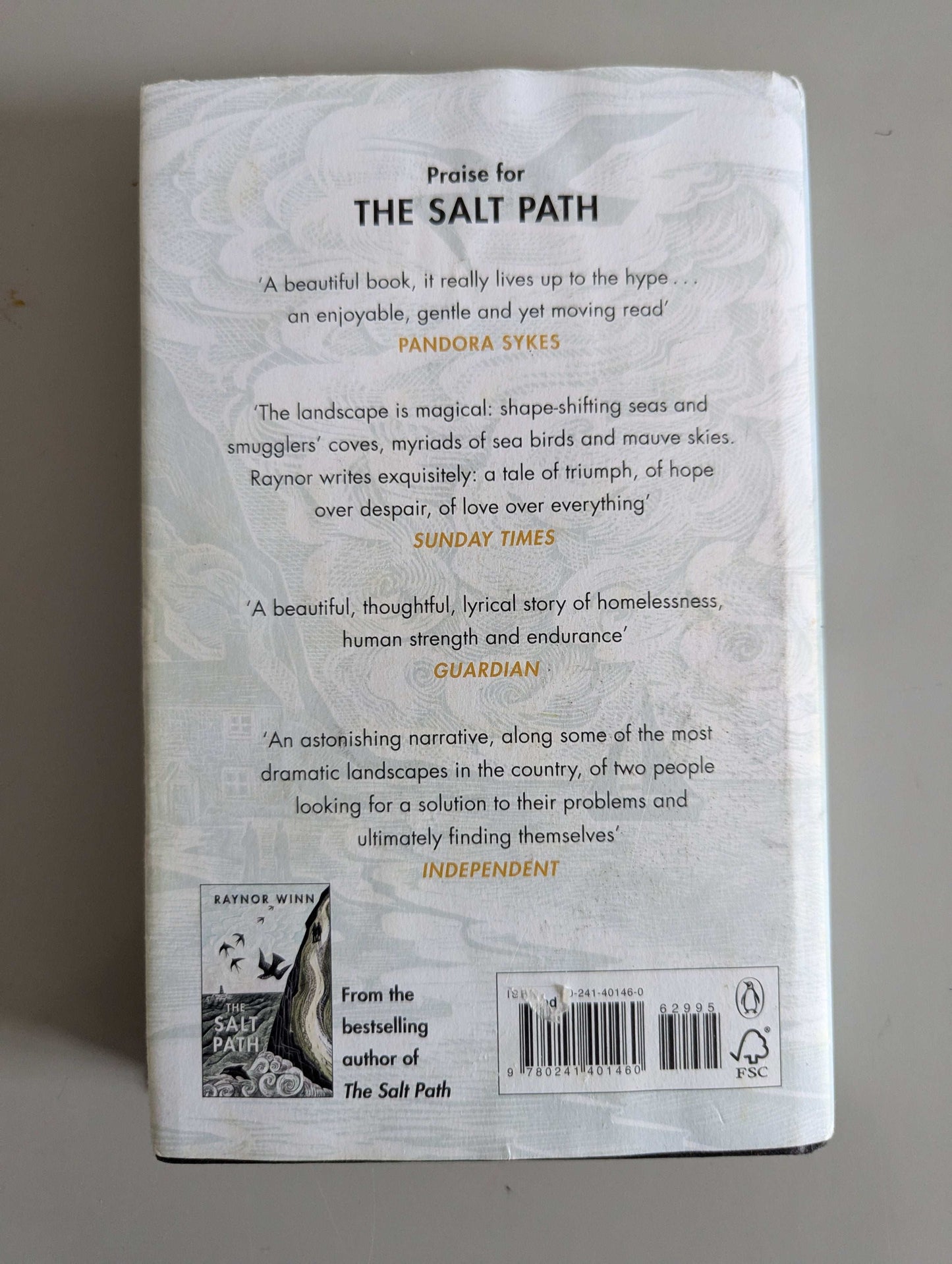 The Wild Silence (Paperback) by Raynor Winn