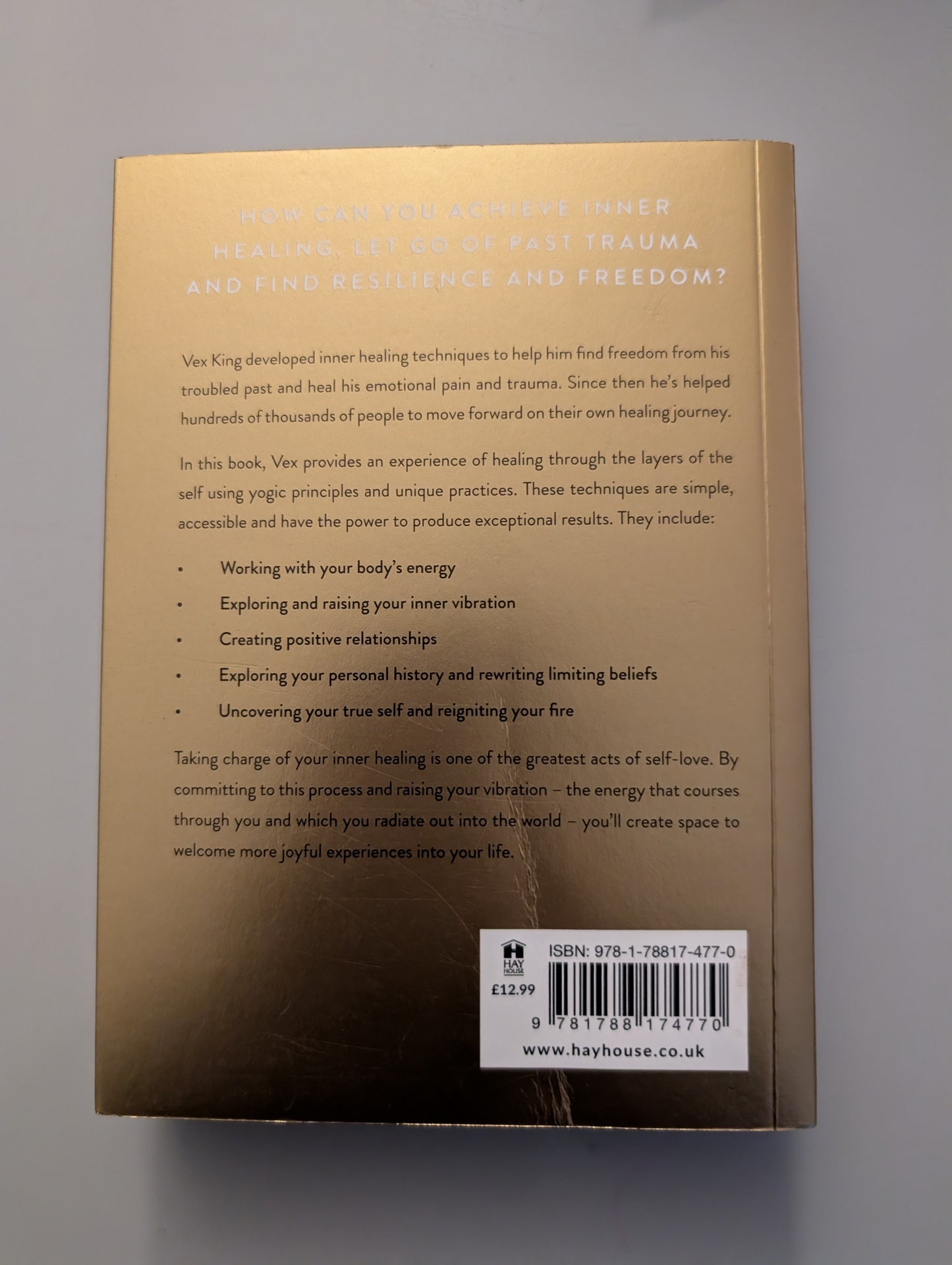 Healing Is the New High (Paperback) by Vex King