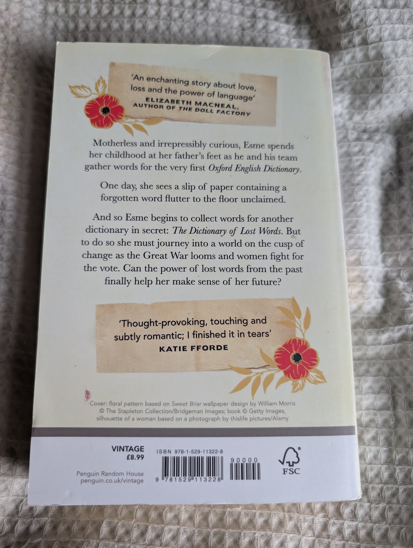 The Dictionary of Lost Words (Paperback) by Pip Williams