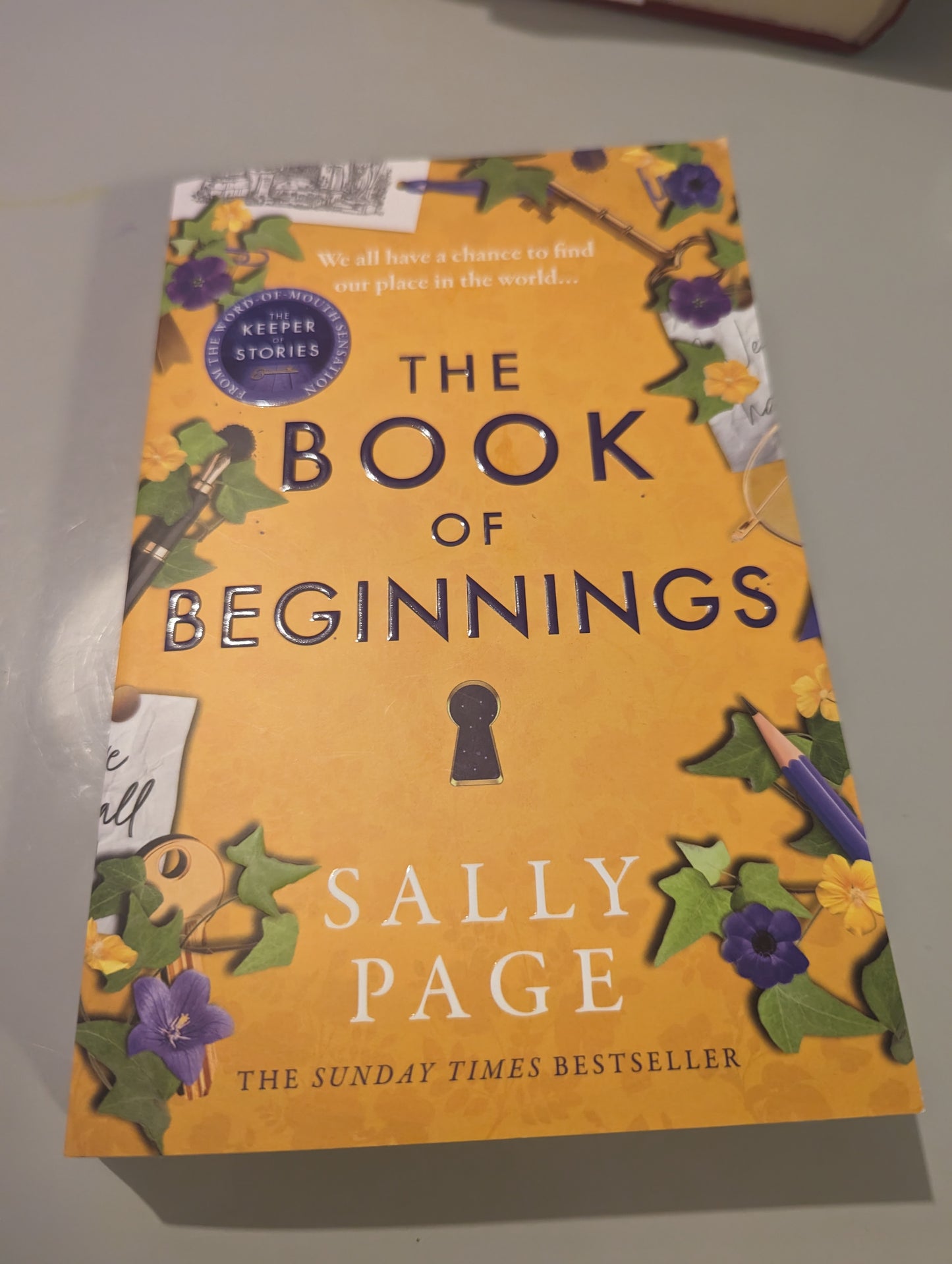 The Book of Beginnings (Paperback) by Sally Page