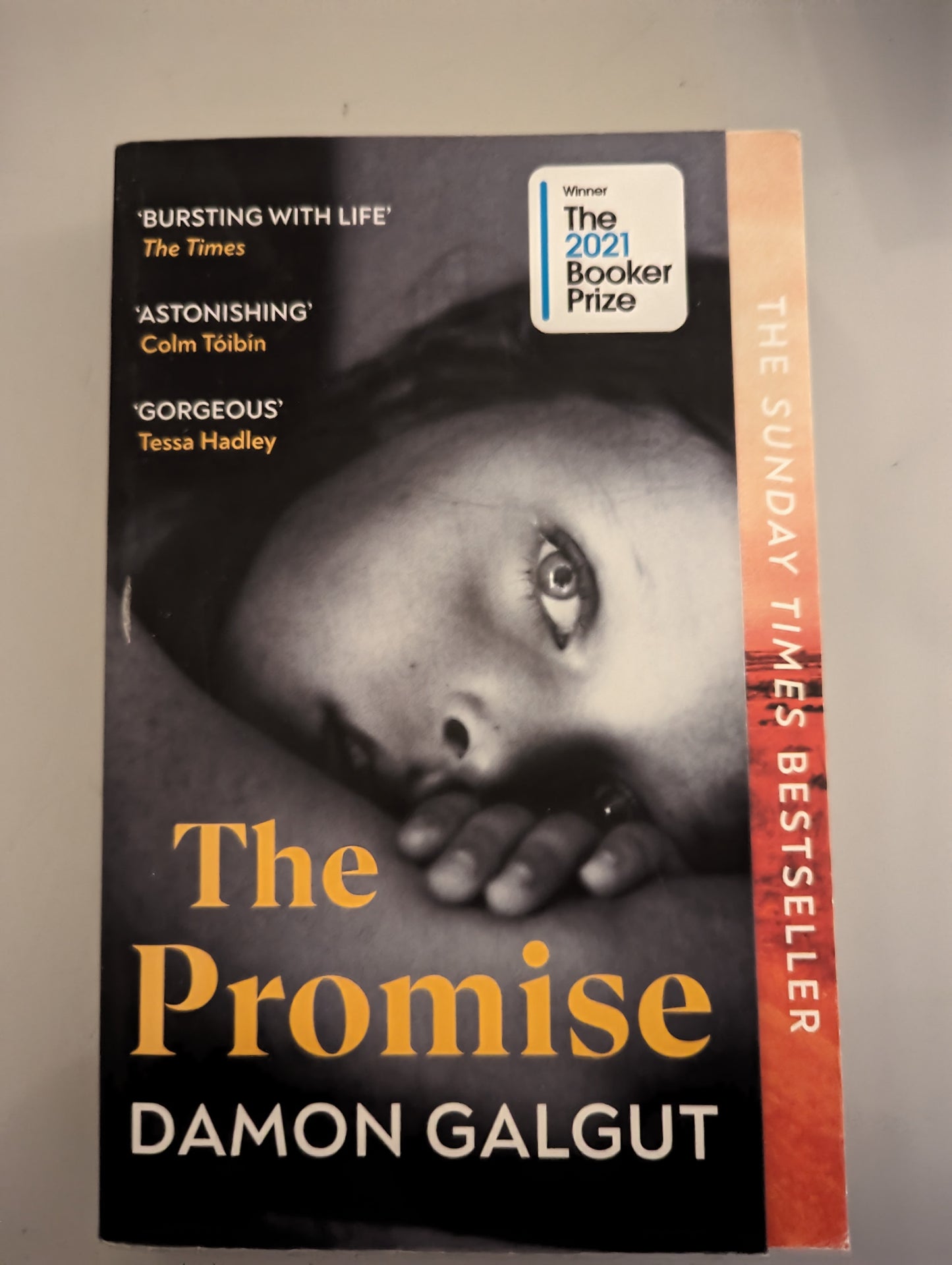 The Promise (Paperback) by Damon Galgut