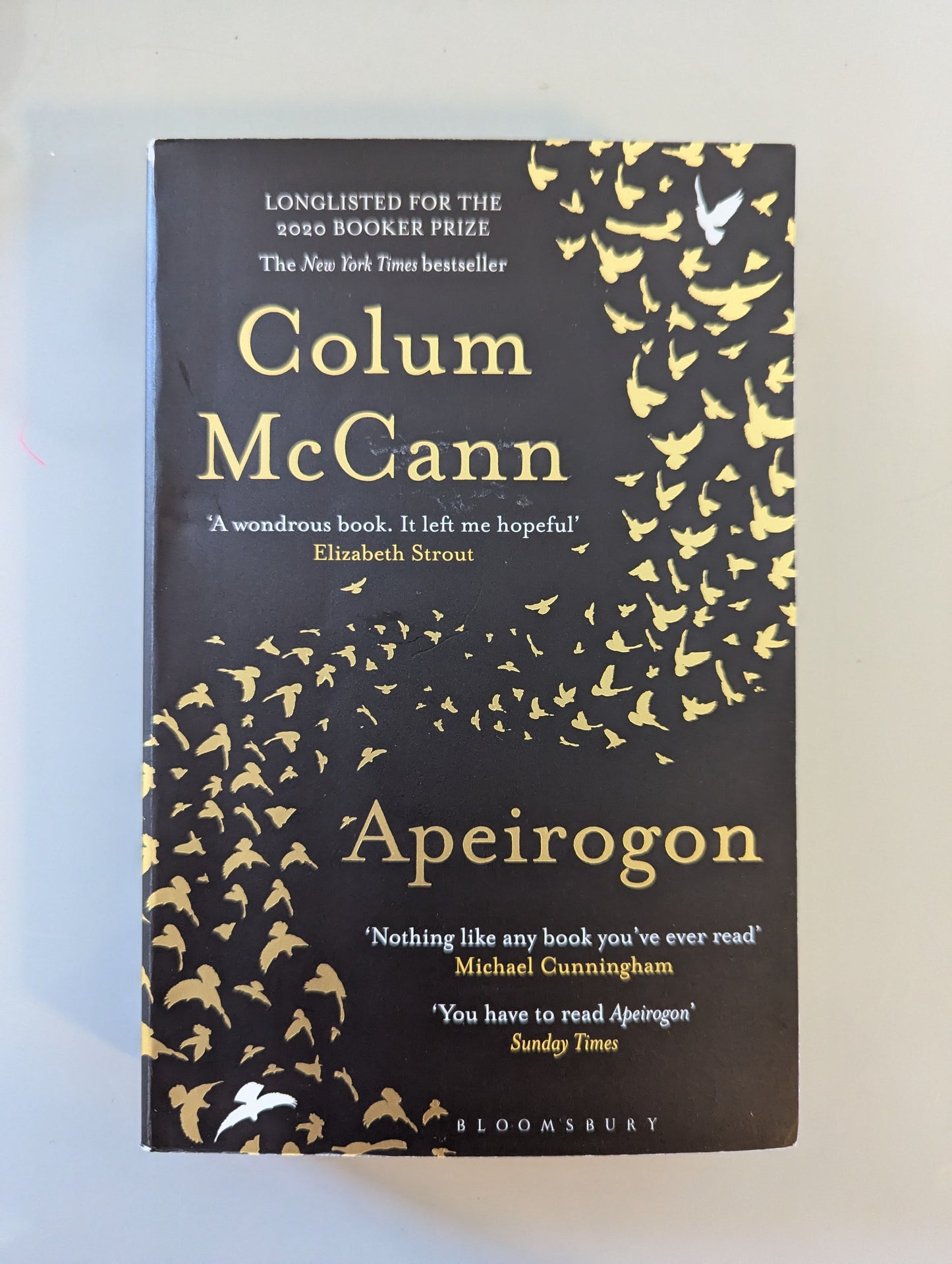 Apeirogon (Paperback) by Colum McCann