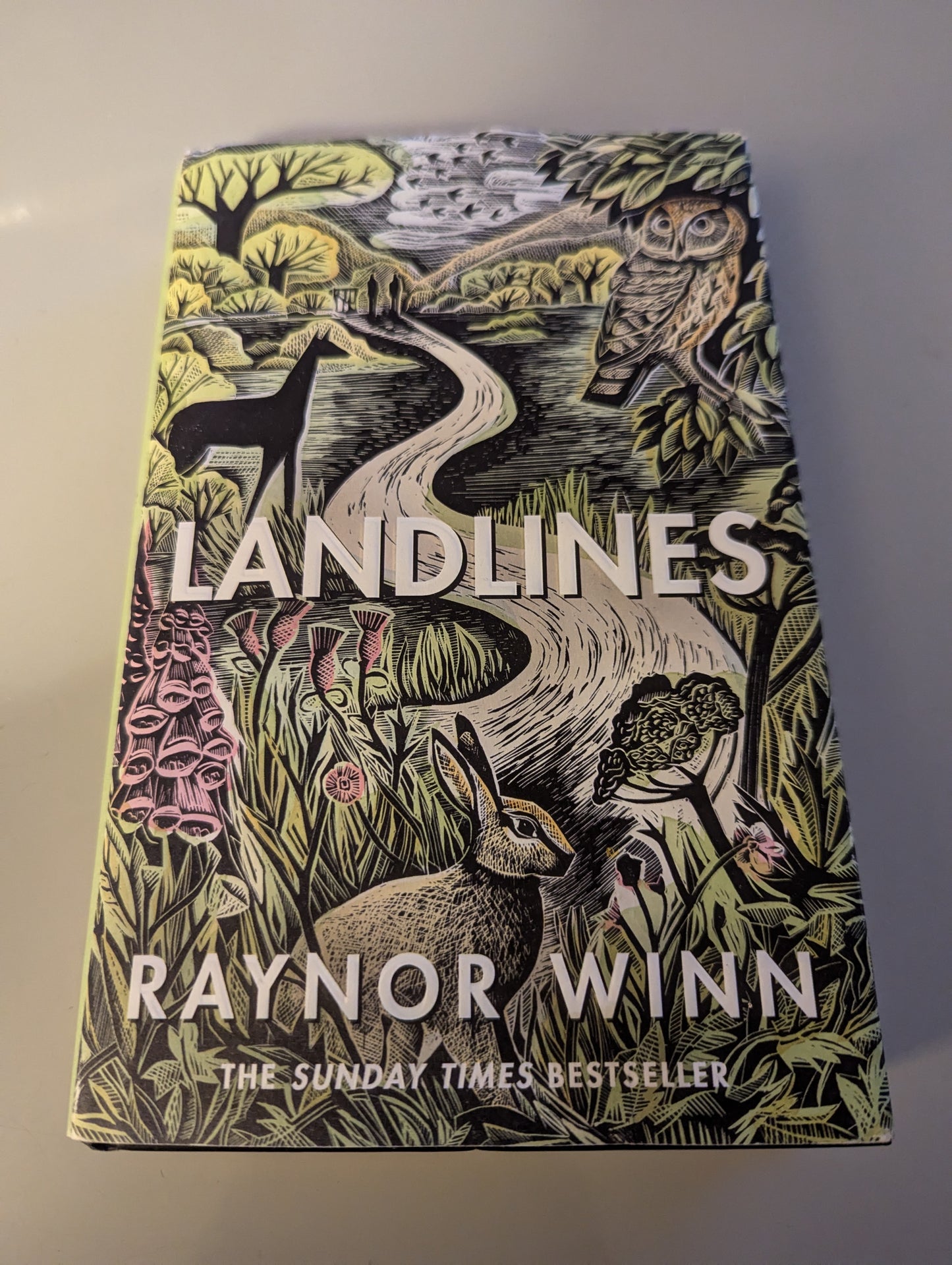 Landlines (Hardback) by Raynor Winn