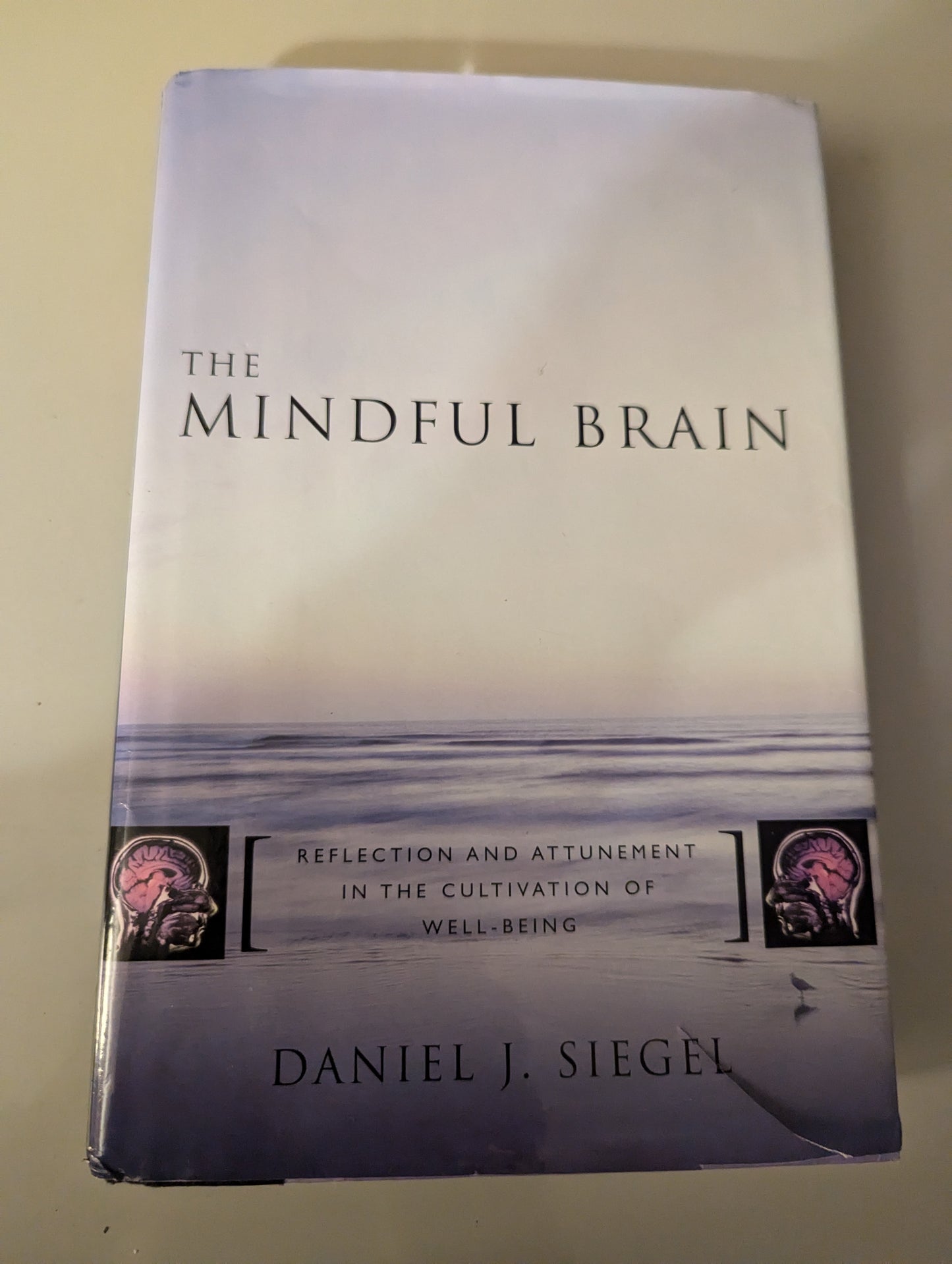 The Mindful Brain: Reflection and Attunement in the Cultivation of Well-Being - Norton Series on Interpersonal Neurobiology (Hardback) by Daniel J. Siegel