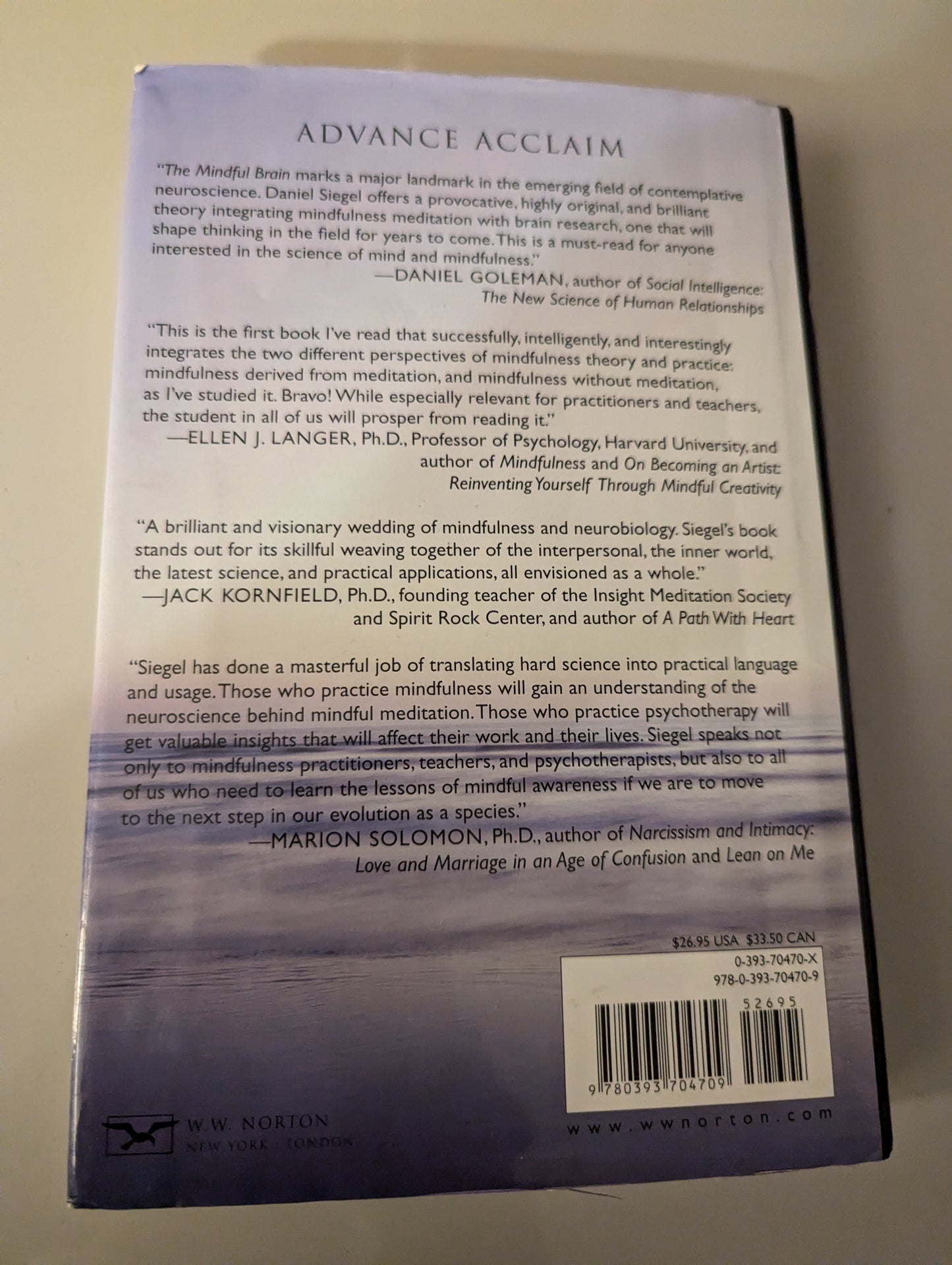 The Mindful Brain: Reflection and Attunement in the Cultivation of Well-Being - Norton Series on Interpersonal Neurobiology (Hardback) by Daniel J. Siegel