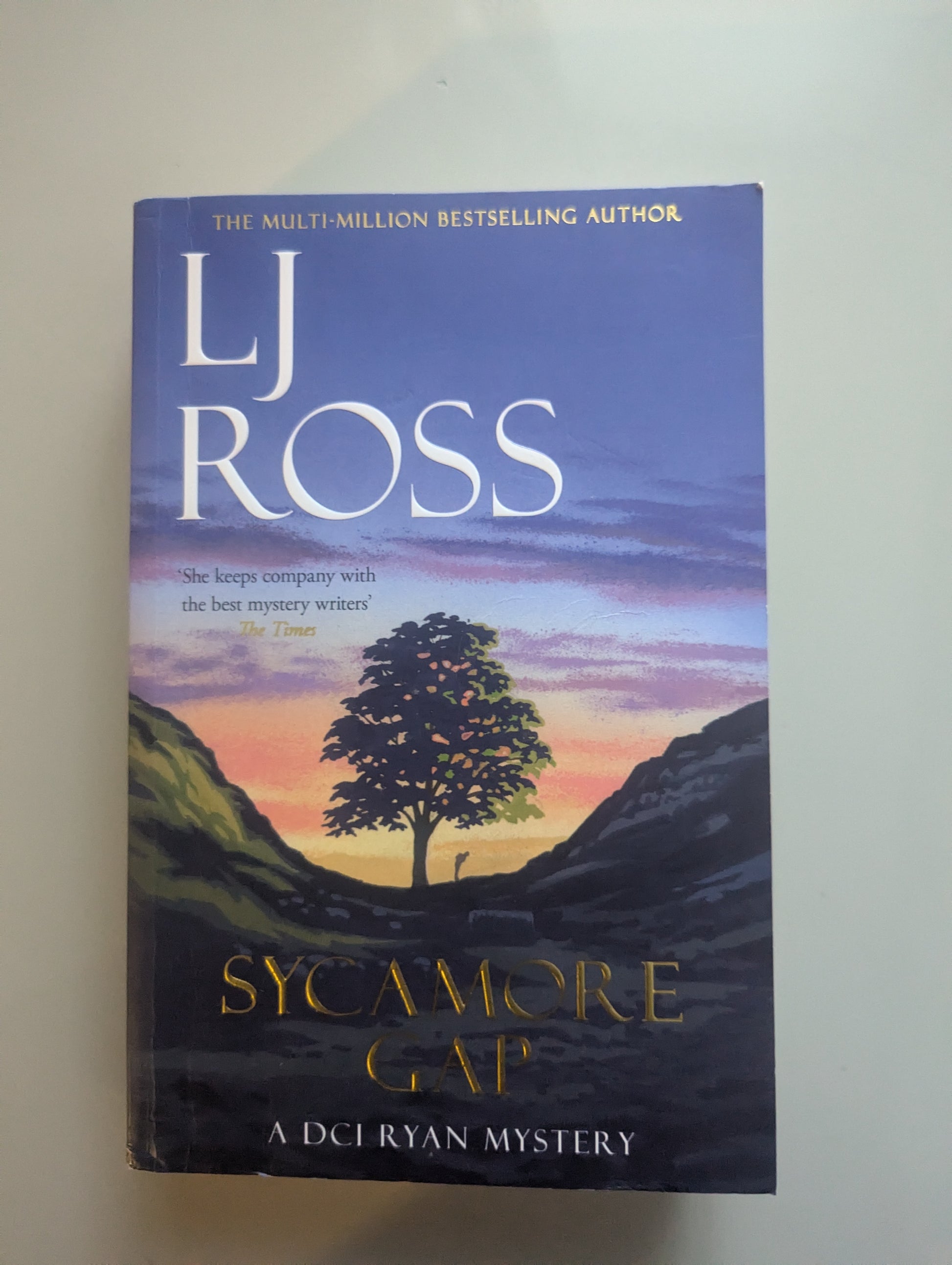 Back cover of Sycamore Gap by LJ Ross, showing book synopsis, secondhand condition, available at PrelovedLibrary.co.uk