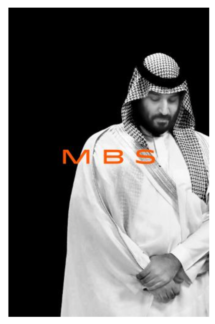 MBS: The Rise to Power of Mohammed Bin Salman (Hardback)by Ben Hubbard