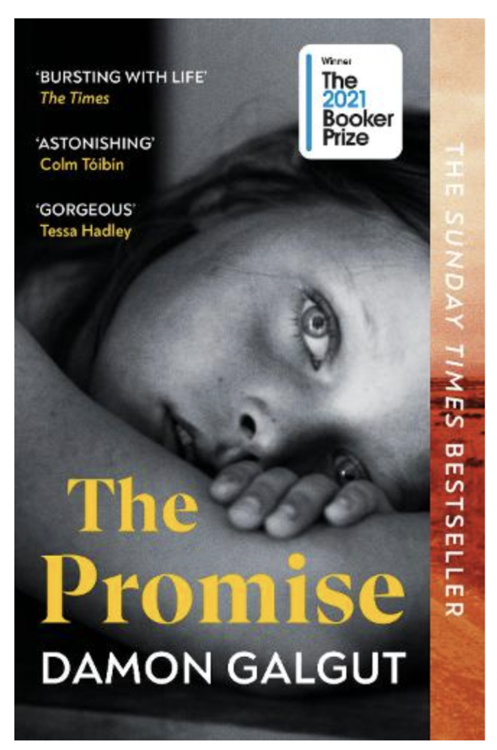 The Promise (Paperback) by Damon Galgut