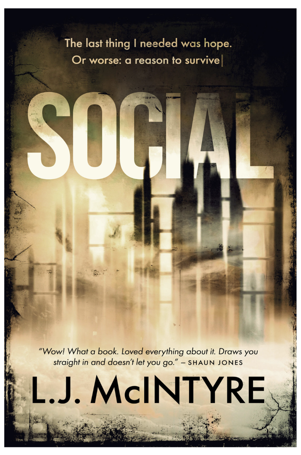 Social (Paperback) by L.J McIntyre