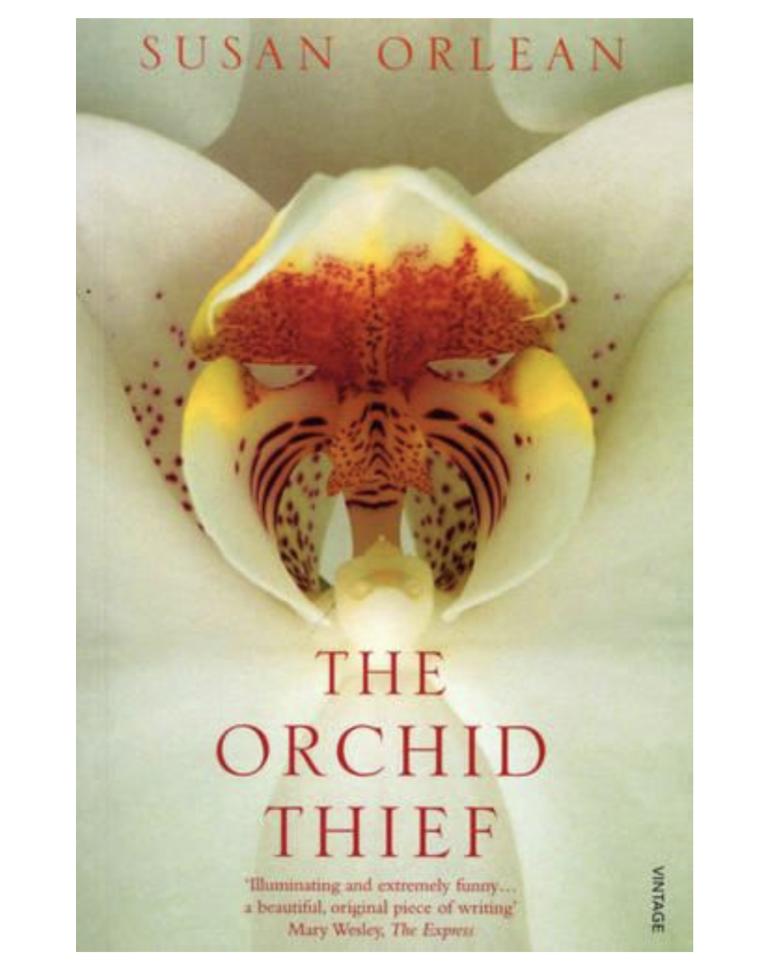 The Orchid Thief (Paperback) by Susan Orlean