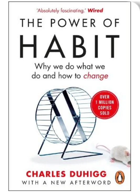 The Power of Habit: Why We Do What We Do, and How to Change (Paperback) by Charles Duhigg