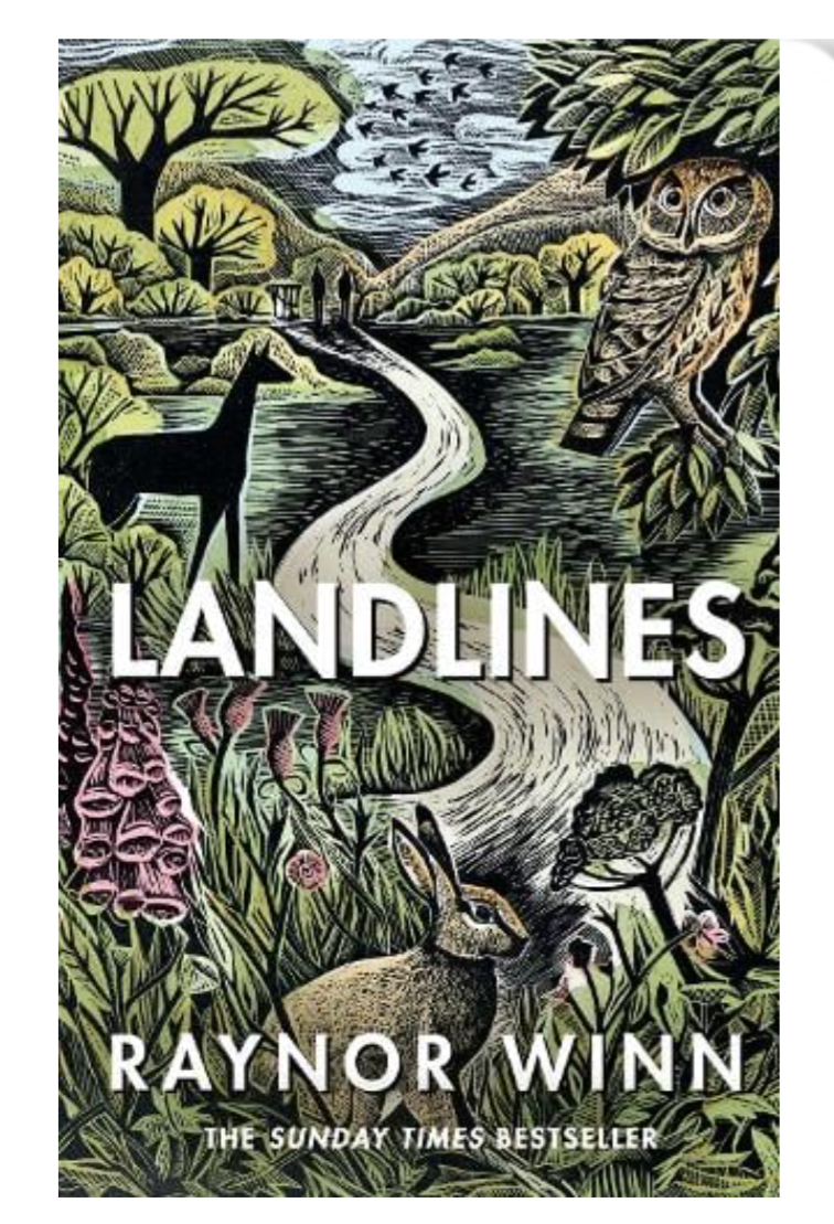 Landlines (Hardback) by Raynor Winn