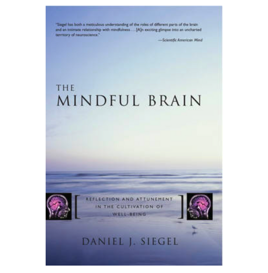 The Mindful Brain: Reflection and Attunement in the Cultivation of Well-Being - Norton Series on Interpersonal Neurobiology (Hardback) by Daniel J. Siegel