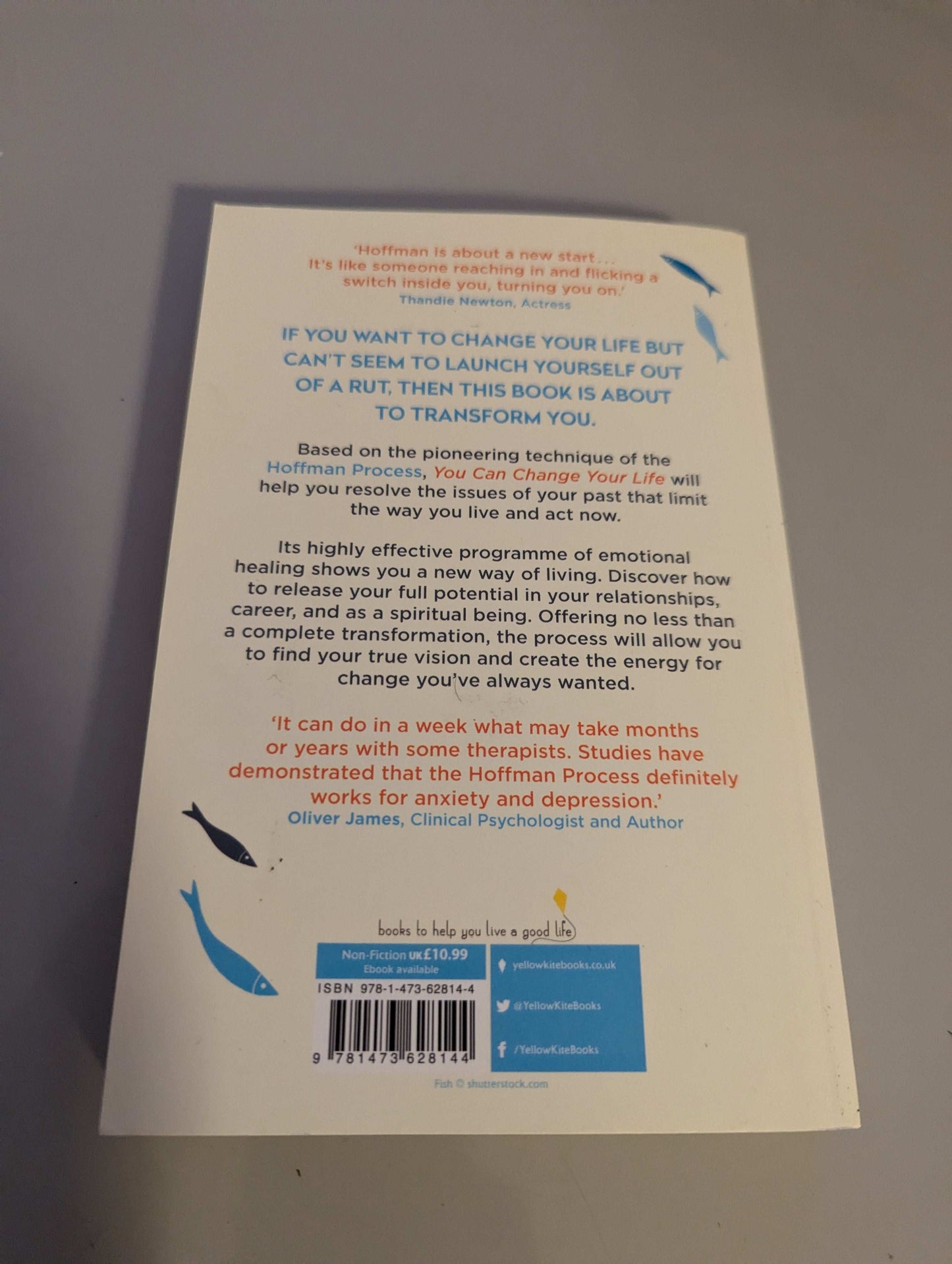You Can Change Your Life: With the Hoffman Process (Paperback) by Tim Laurence
