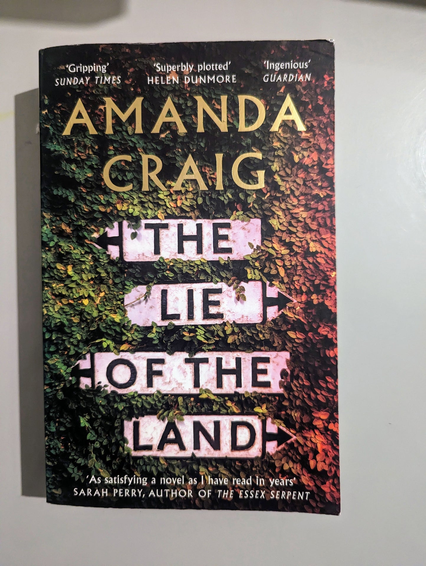The Lie of the Land (Paperback) by Amanda Craig