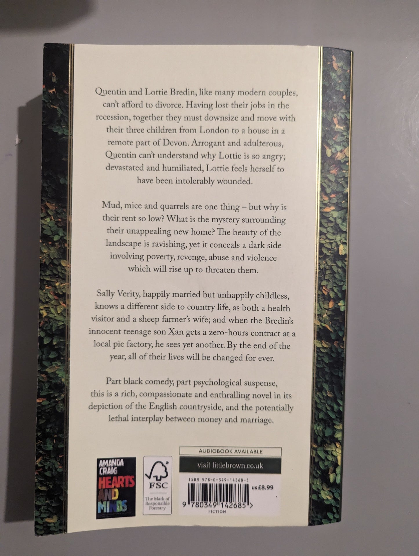 The Lie of the Land (Paperback) by Amanda Craig