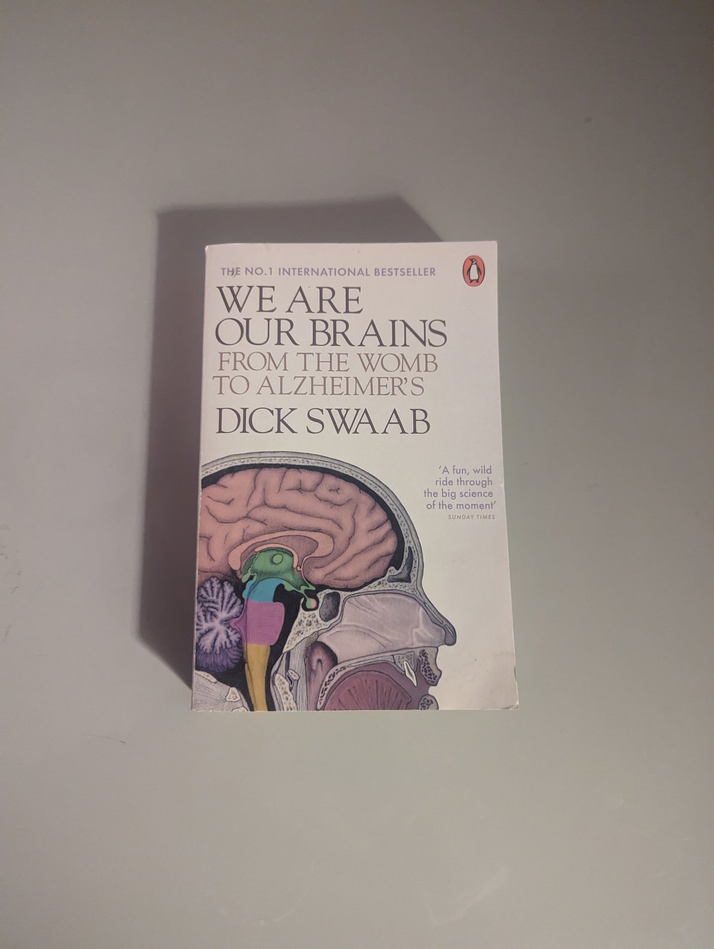 We Are Our Brains: From the Womb to Alzheimer's (Paperback) by Dick Swaab