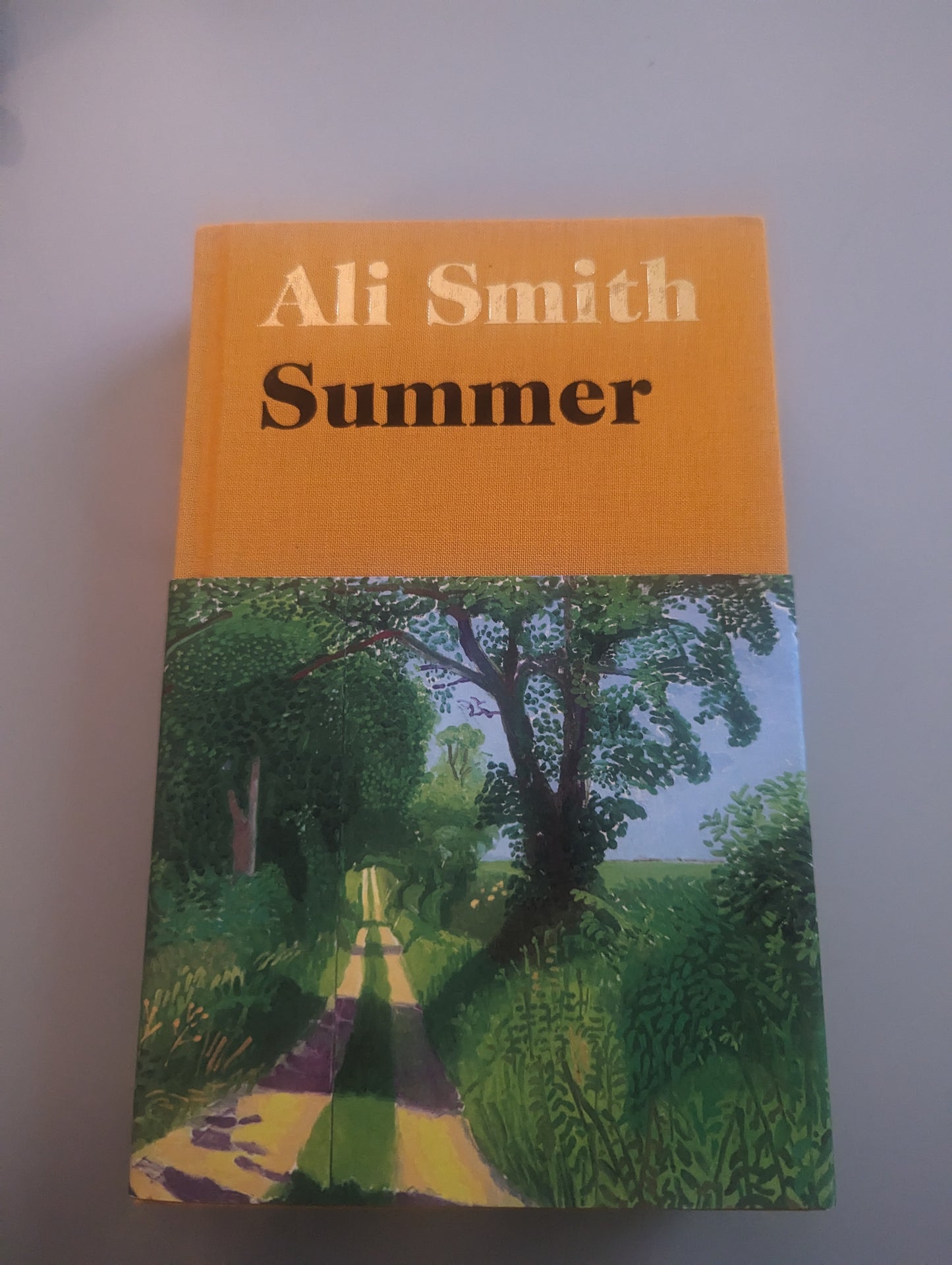 Summer (Hardback) by Ali Smith