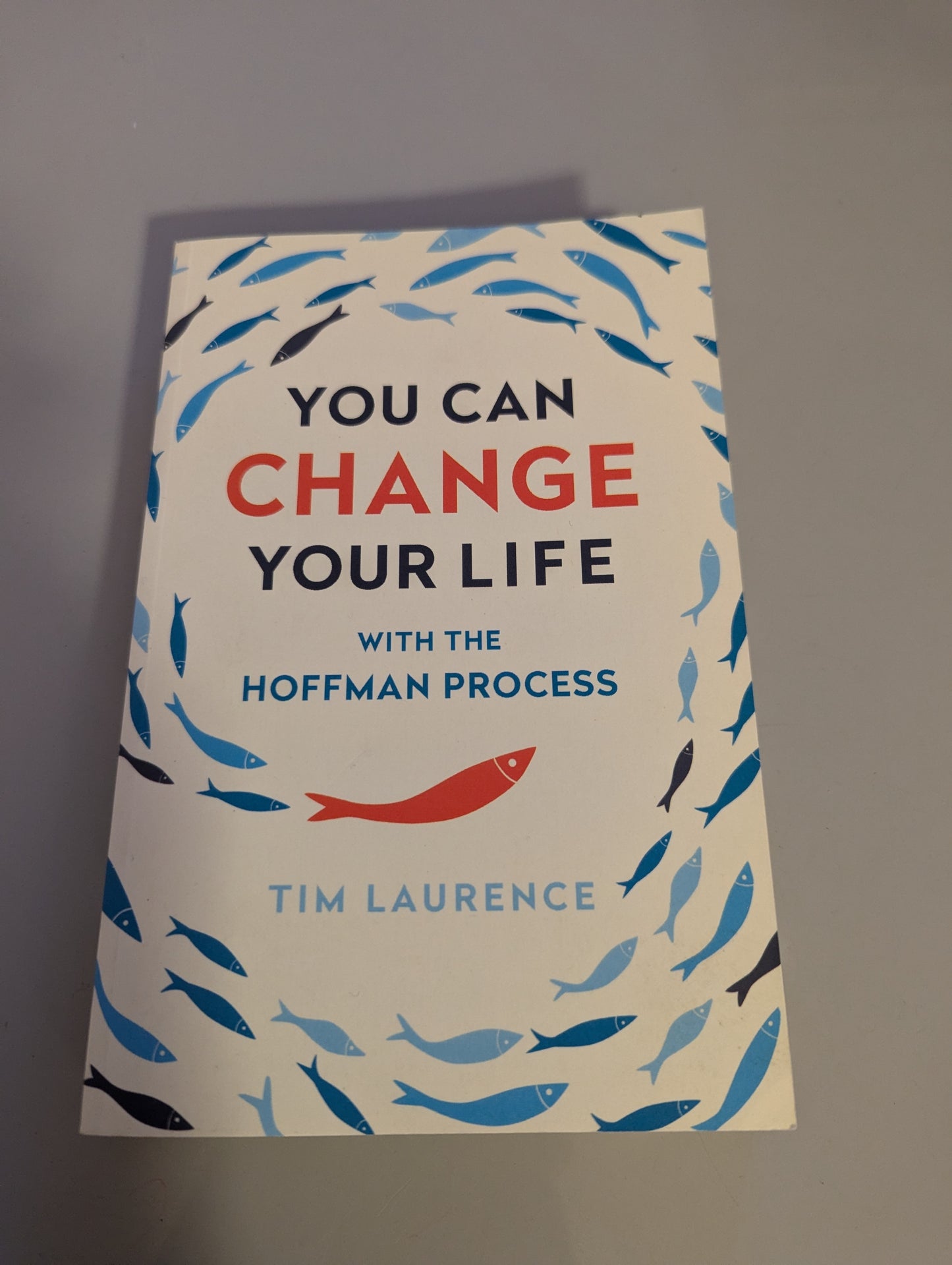 You Can Change Your Life: With the Hoffman Process (Paperback) by Tim Laurence